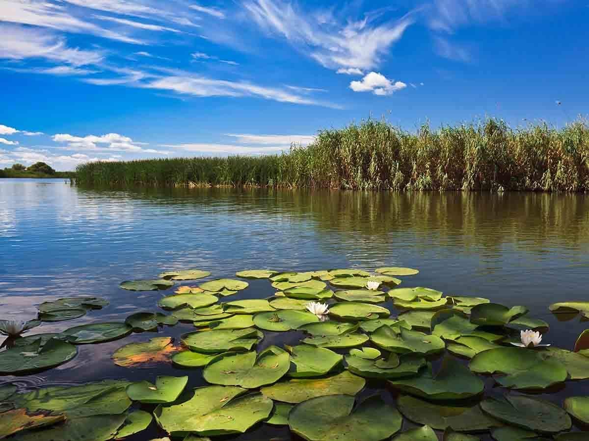 visit danube delta