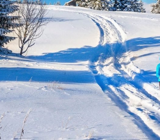 Ski de randonnée